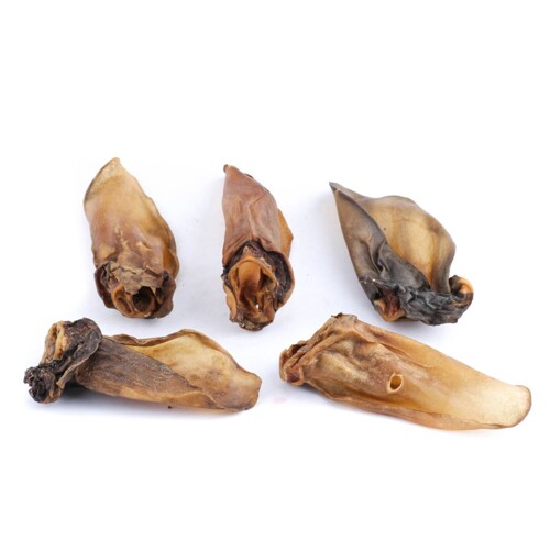 KH Sušené hovädzie ucho 1ks